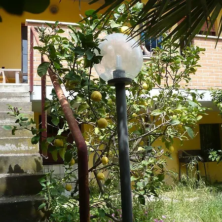 Lola House Casa vacanze Martinsicuro
