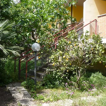 Lola House *