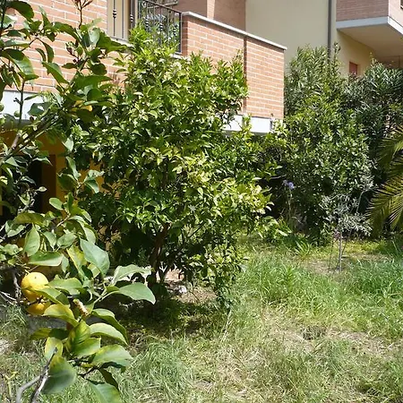 Lola House Casa vacanze Martinsicuro