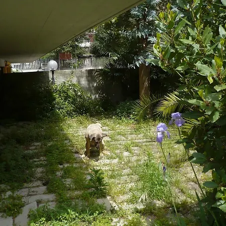 Lola House Martinsicuro