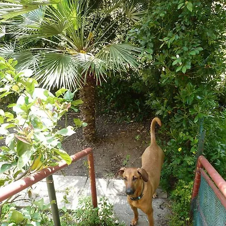 Lola House